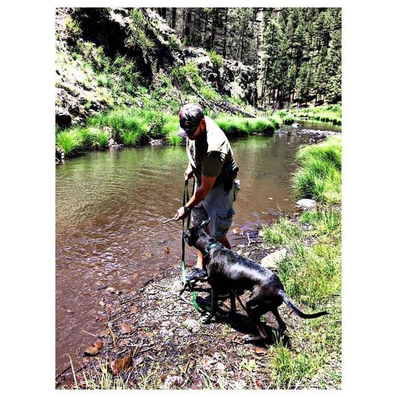 Meet your Posher, Justin - Picture 1 of 1